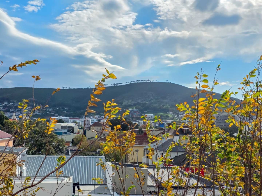 To Let 1 Bedroom Property for Rent in Gardens Western Cape